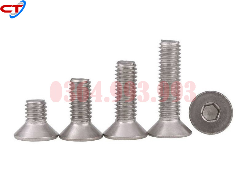 bulong-luc-giac-chim-dau-bang-inox-bulong-dau-con-inox