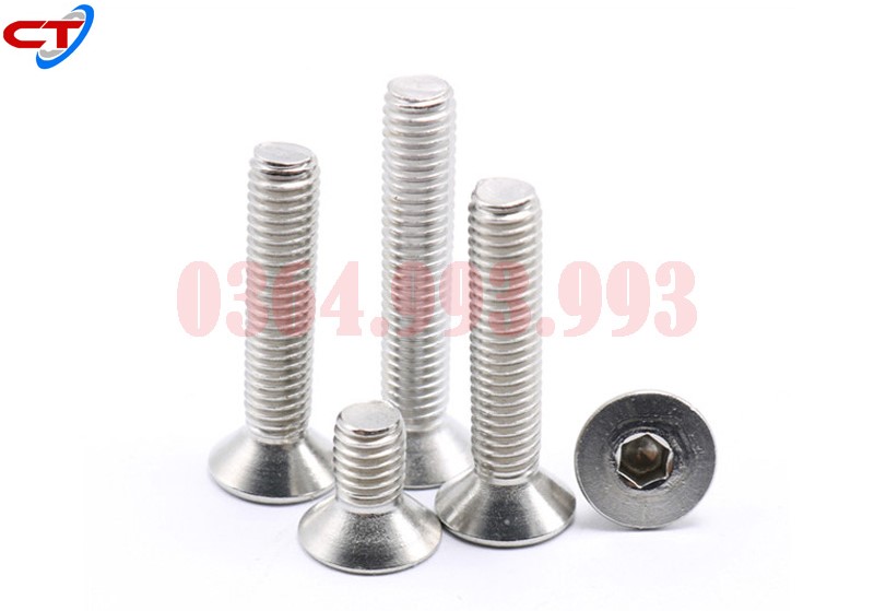 bulong-luc-giac-chim-dau-bang-inox-bulong-dau-con-inox