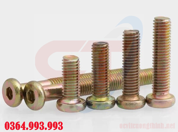 bulong-luc-giac-chim-dau-det