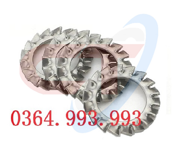 long đền gai inox