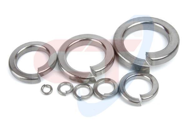 vlong den phẳng, long đền vênh