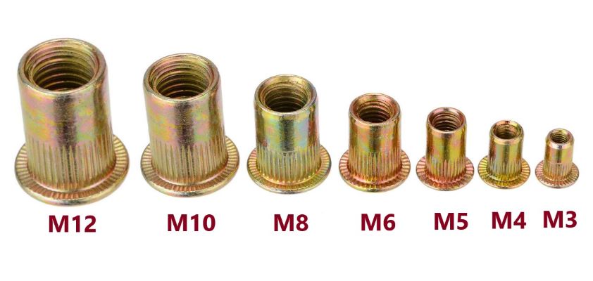 oc-rut-tan-rut-dai-oc-rut-ecu-rut