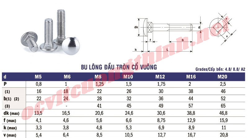 bulong-dau-tron-co-vuong