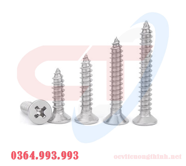 vit-tu-khoan-dau-bang-inox-vit-duoi-ca-inox