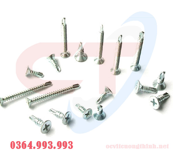 vit-tu-khoan-dau-bang-inox-vit-duoi-ca-inox